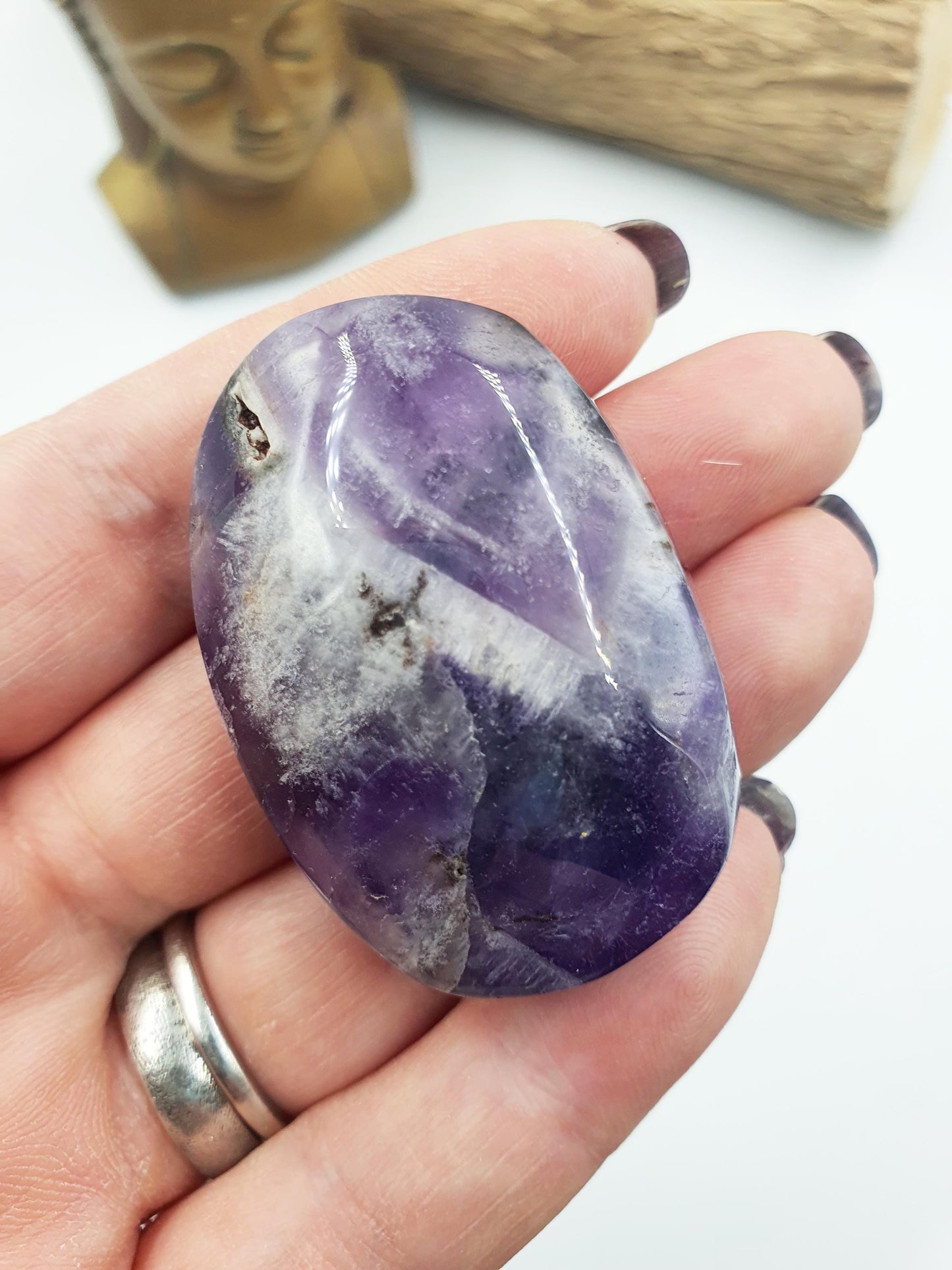 Dream Amethyst Palm