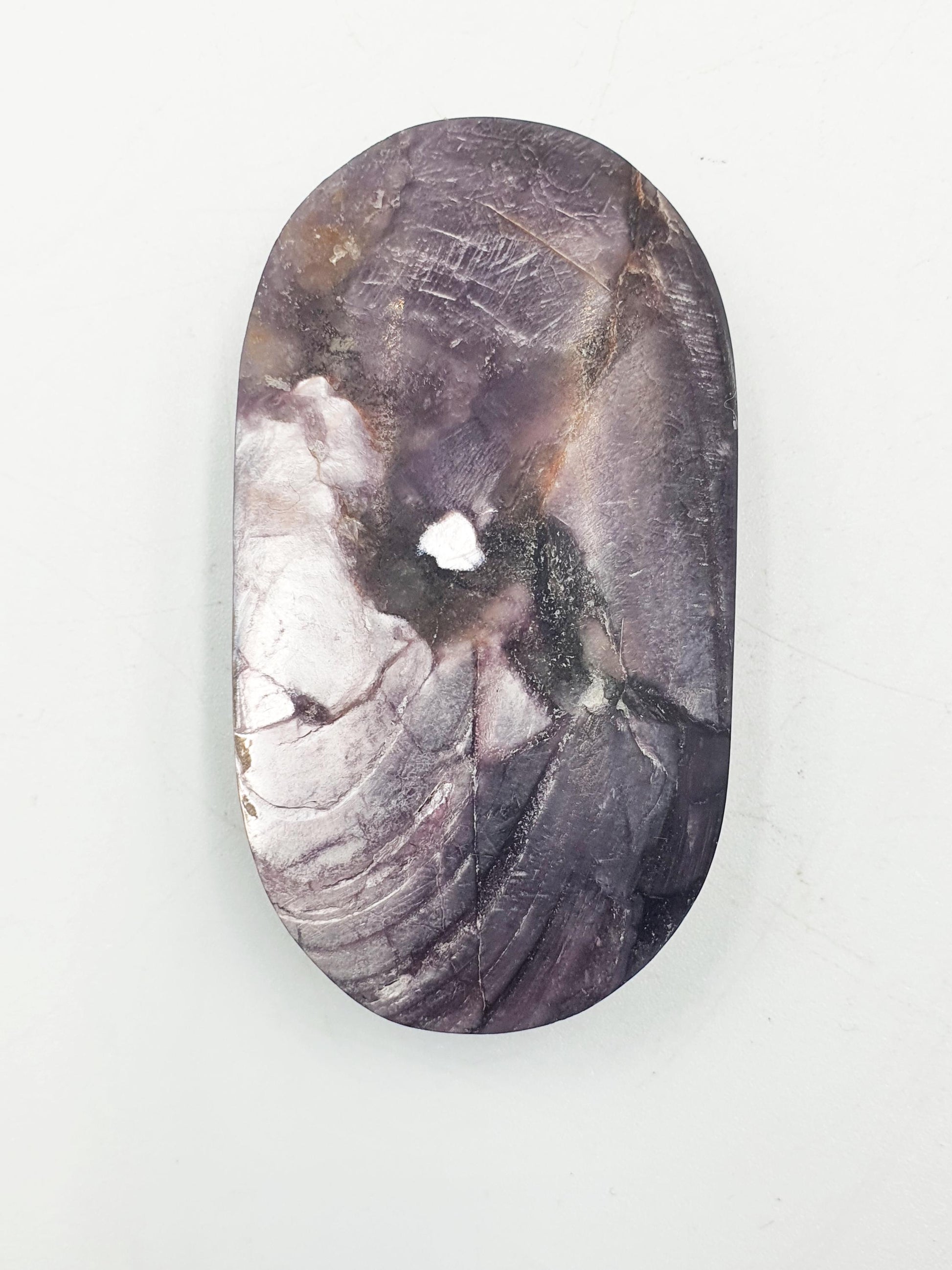 Purple Mica Palm