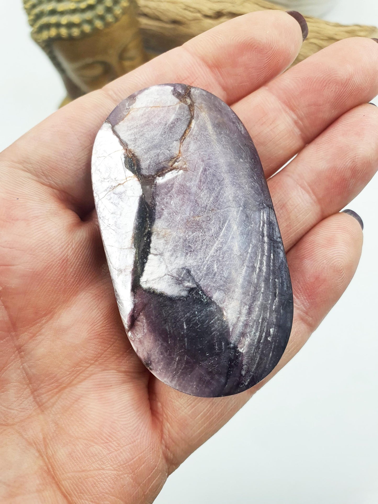 Purple Mica Palm