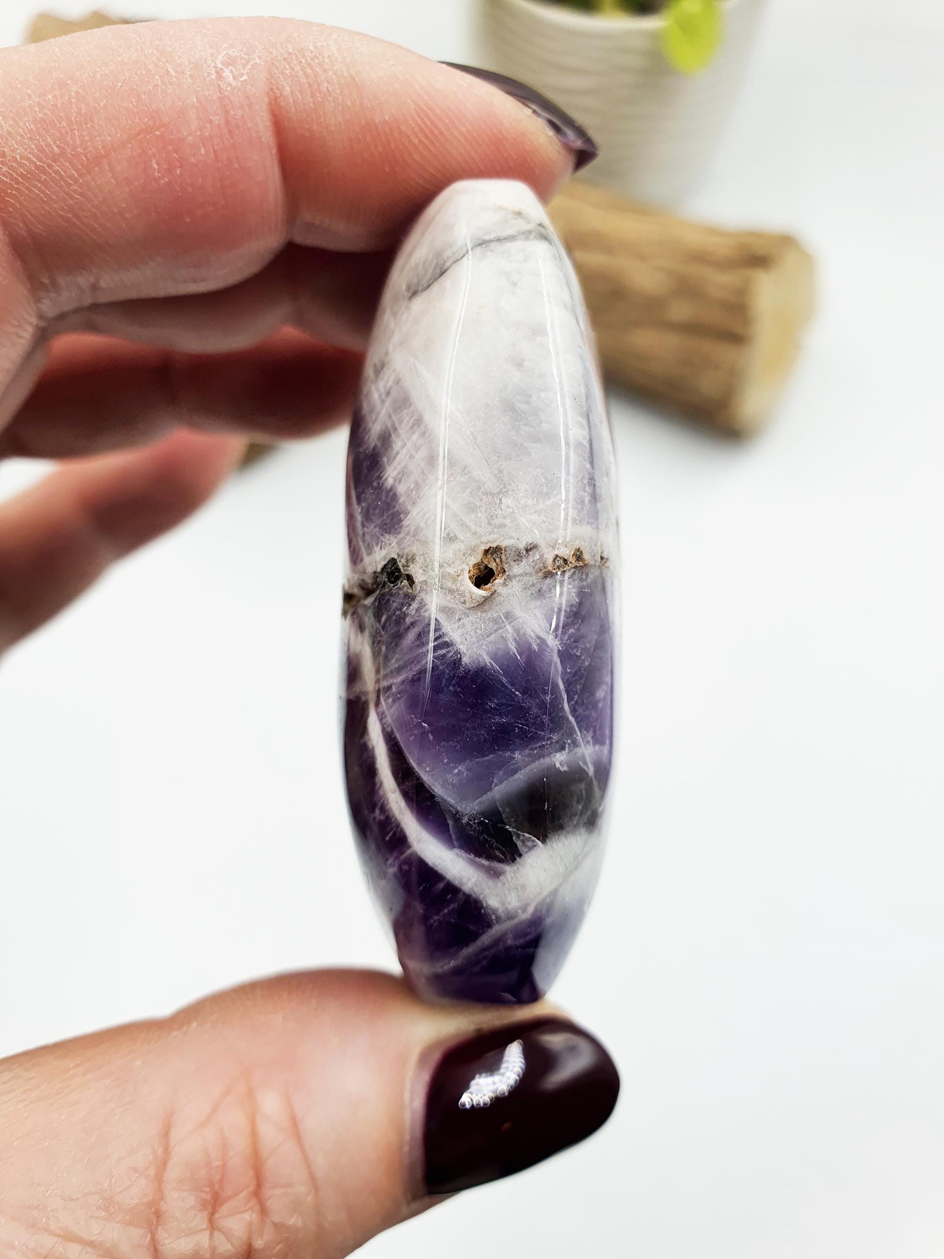 Dream Amethyst Palm