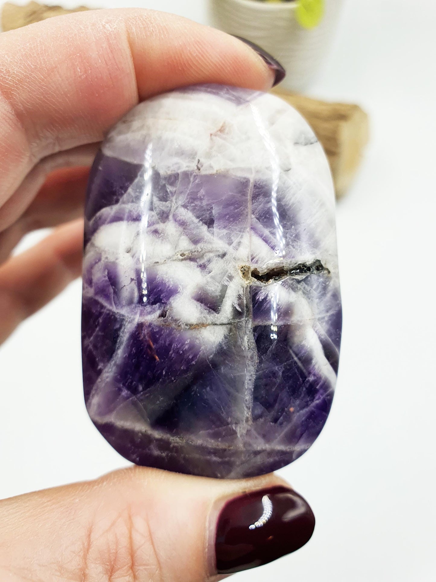 Dream Amethyst Palm