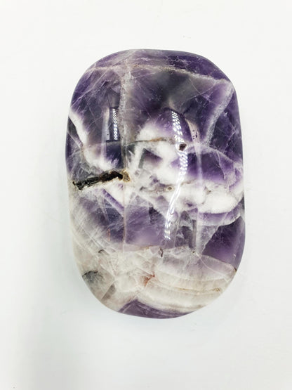 Dream Amethyst Palm