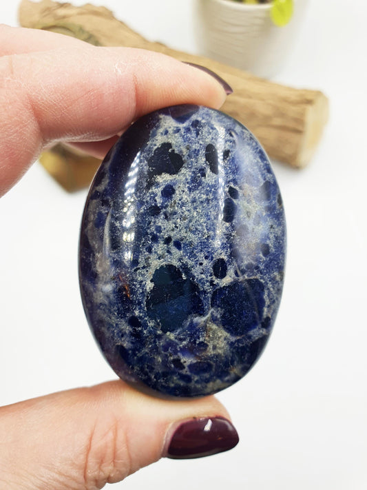 Sodalite Palm