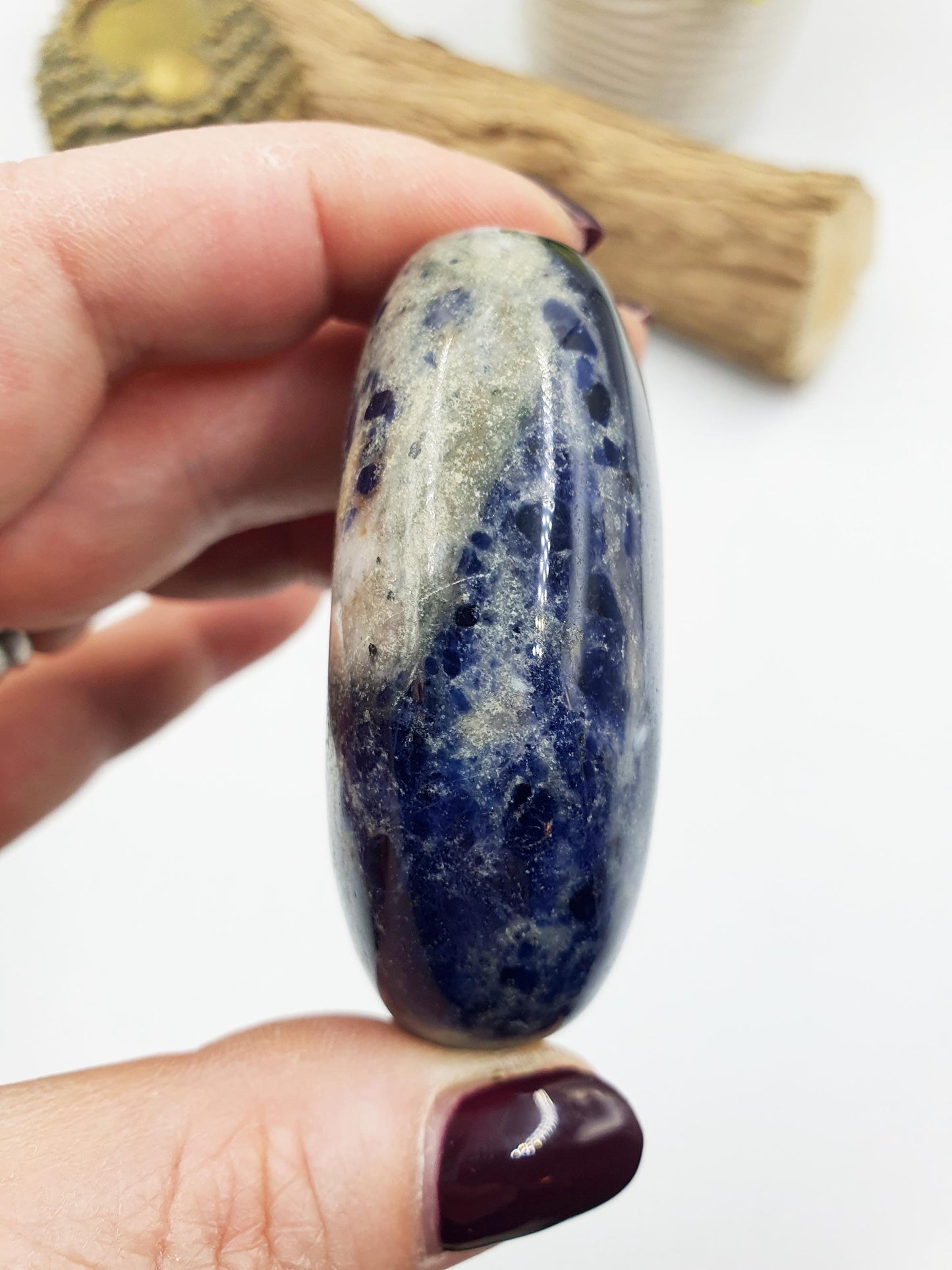 Sodalite Palm