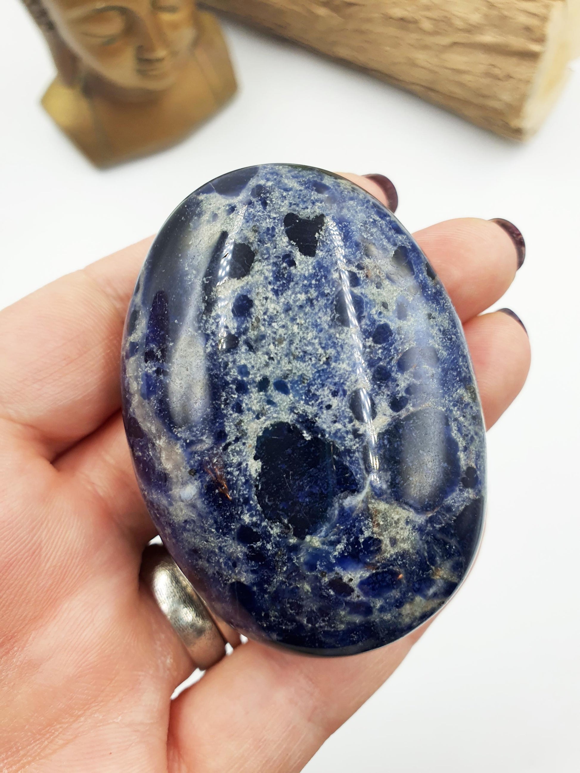 Sodalite Palm