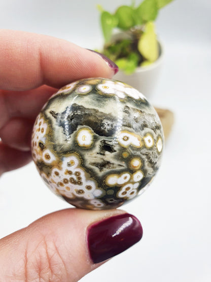 Orbicular Ocean Jasper Sphere