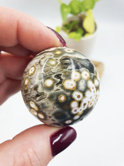 Orbicular Ocean Jasper Sphere