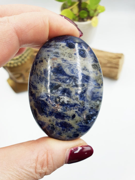 Sodalite Palm