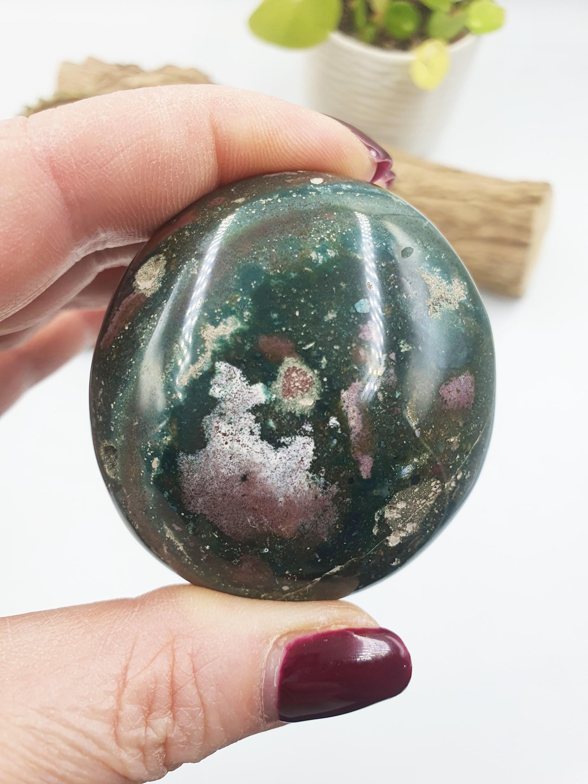 Large Ocean Jasper Palm