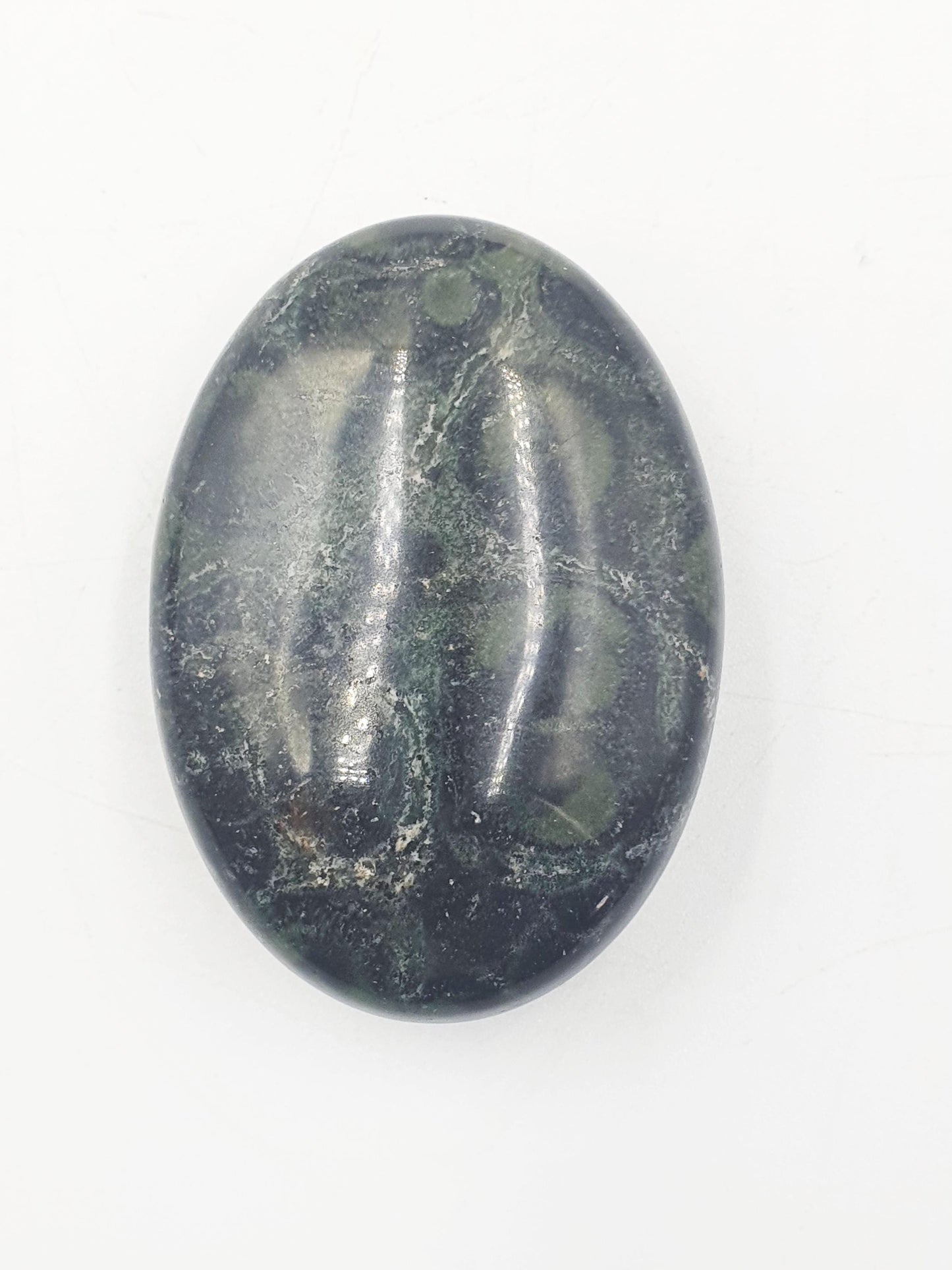 Kambaba Jasper Palm