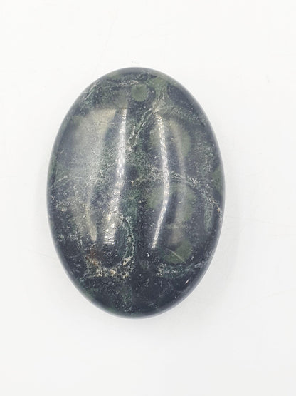 Kambaba Jasper Palm