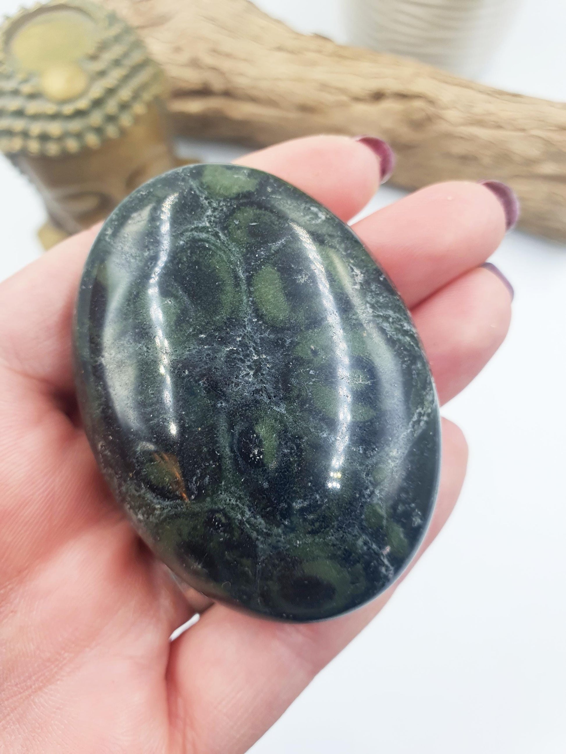 Kambaba Jasper Palm