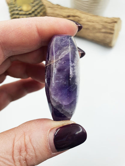 Dream Amethyst Palm