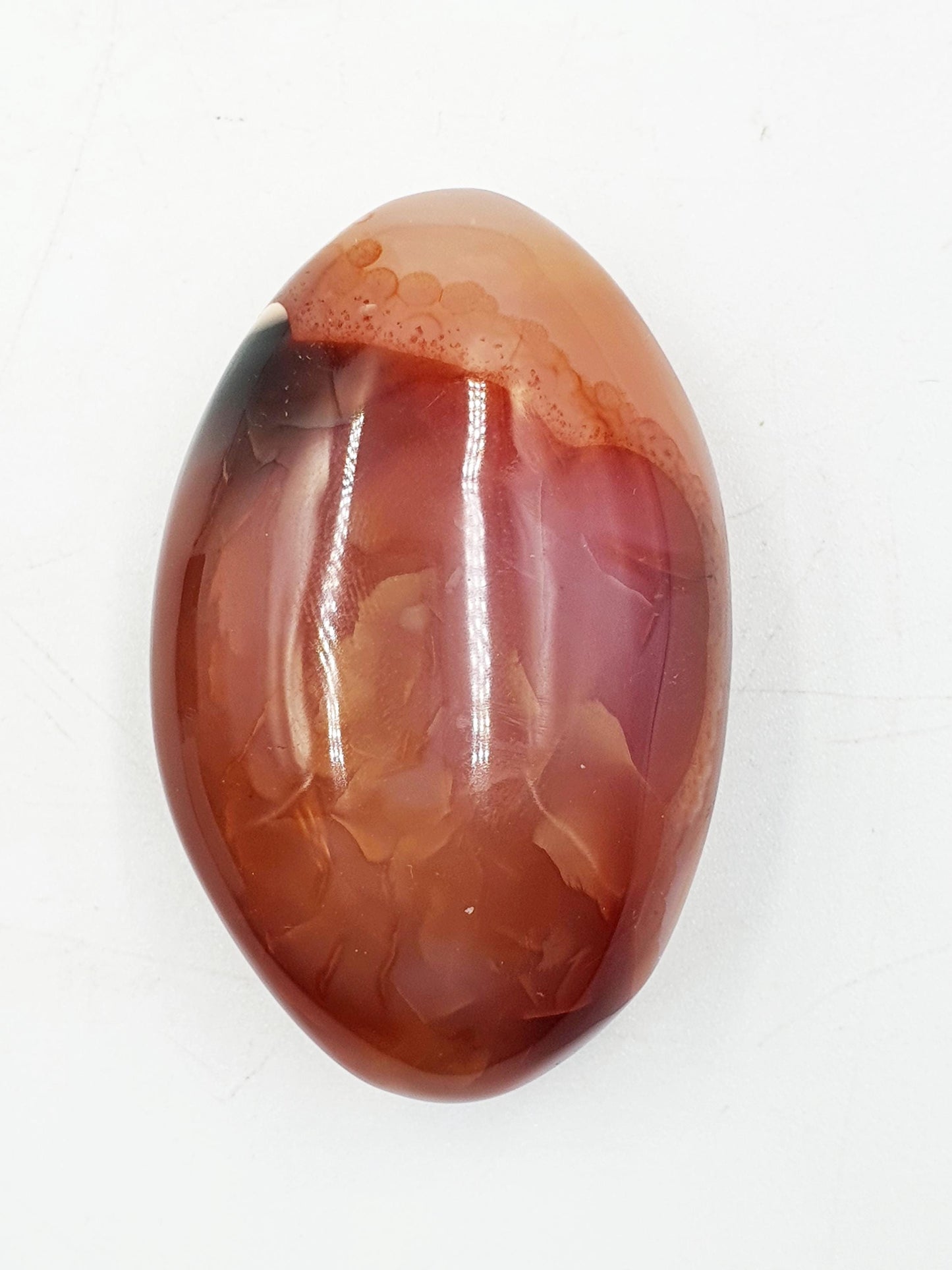 Carnelian Palm