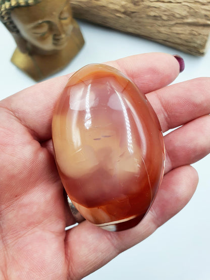 Carnelian Palm