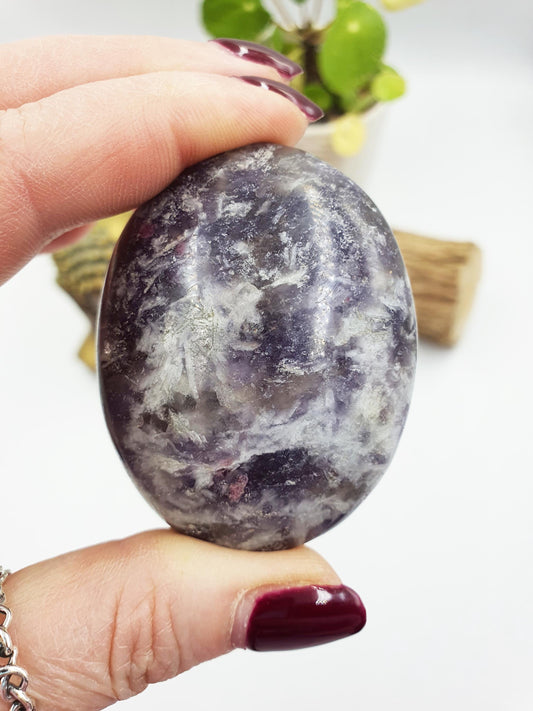 Large Unicorn Stone Palm