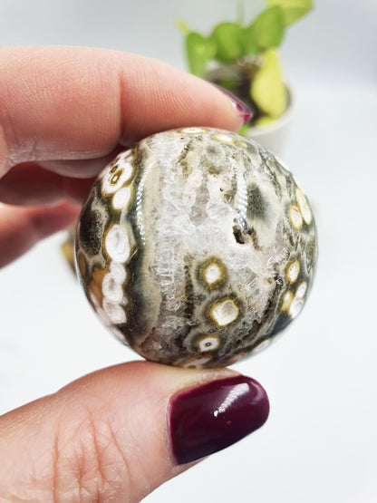 Orbicular Ocean Jasper Sphere