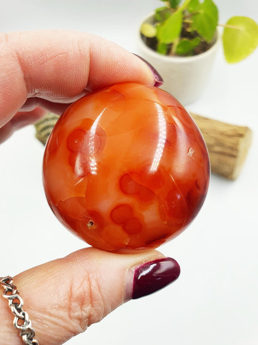 Large Carnelian Palm