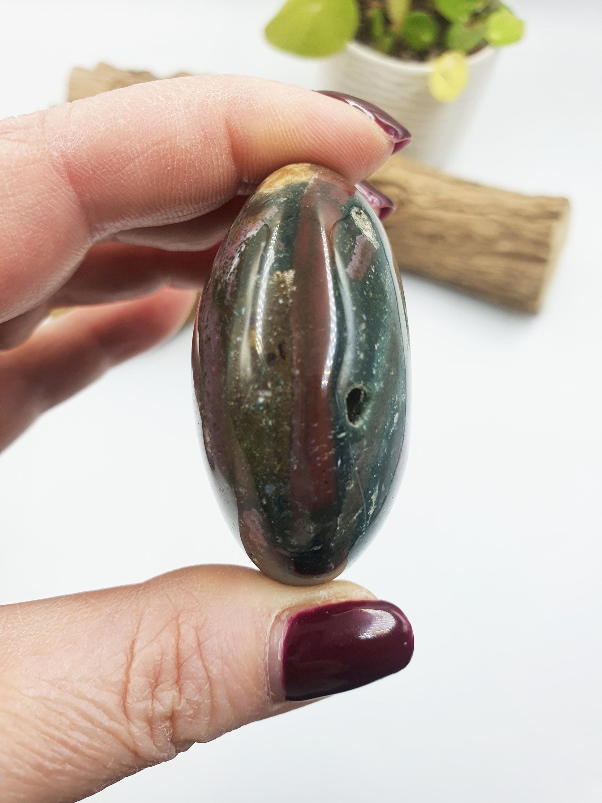 Large Ocean Jasper Palm