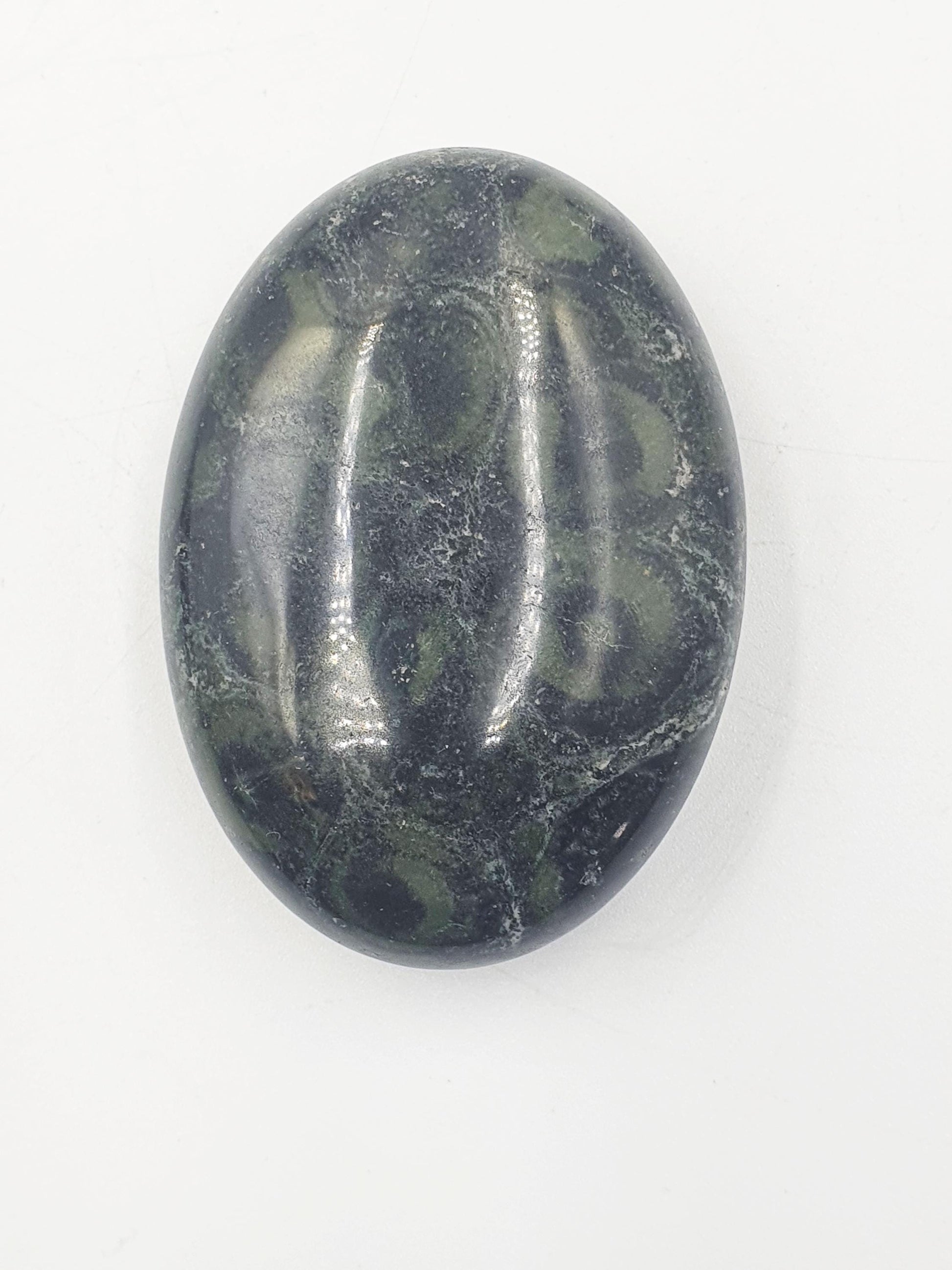 Kambaba Jasper Palm