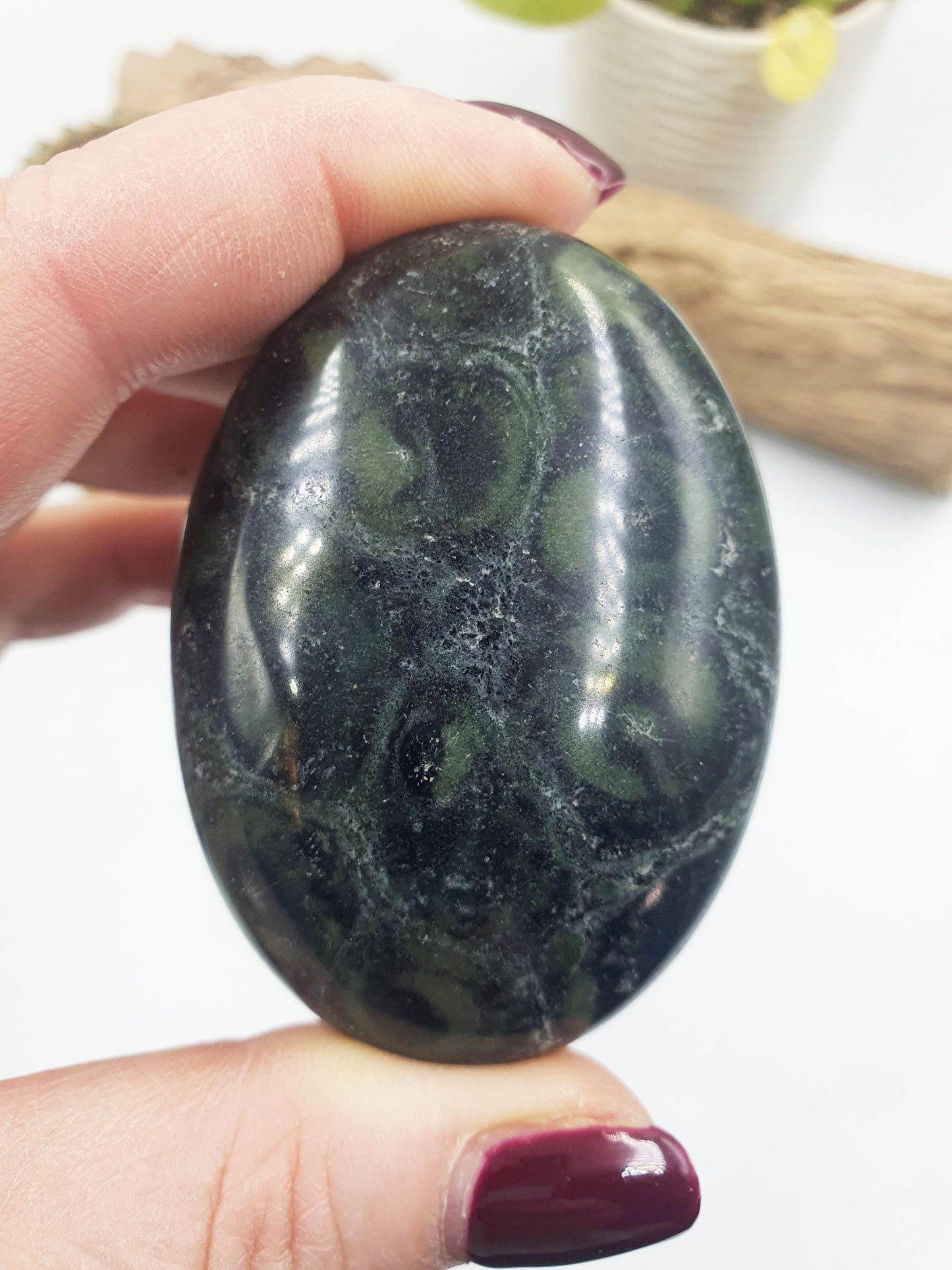 Kambaba Jasper Palm