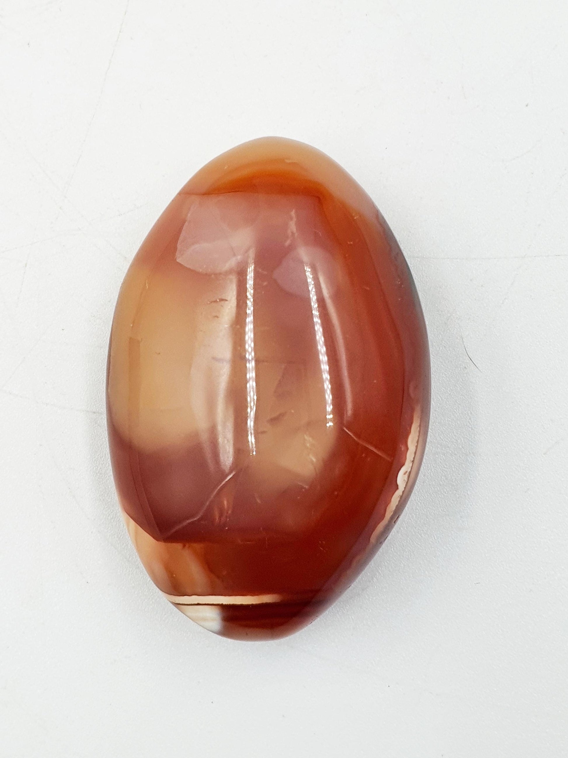 Carnelian Palm