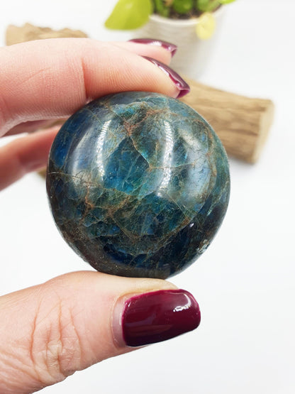 Blue Apatite Palm