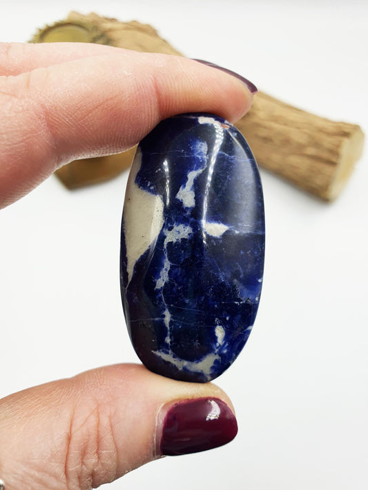 Little Sodalite Palm