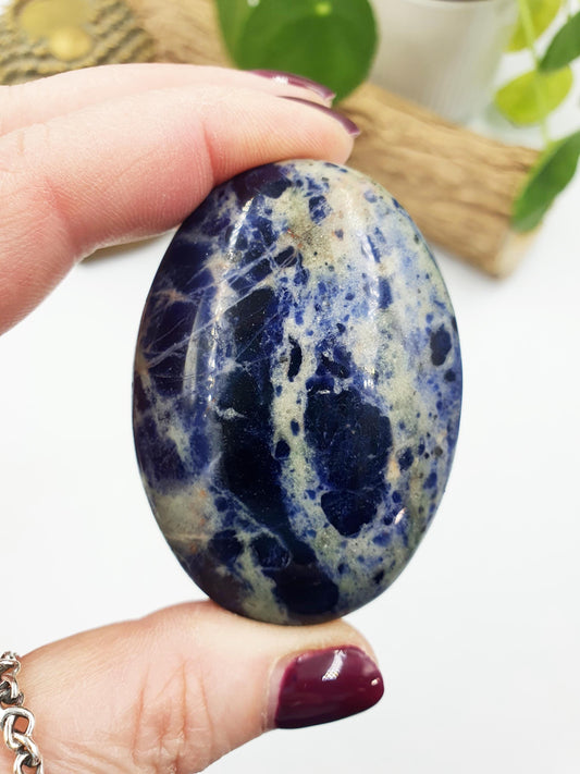 Sodalite Palm