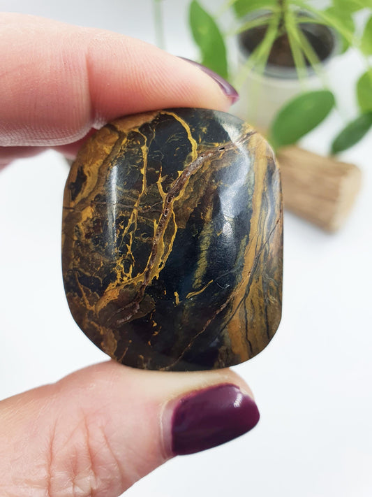 Pietersite Palm