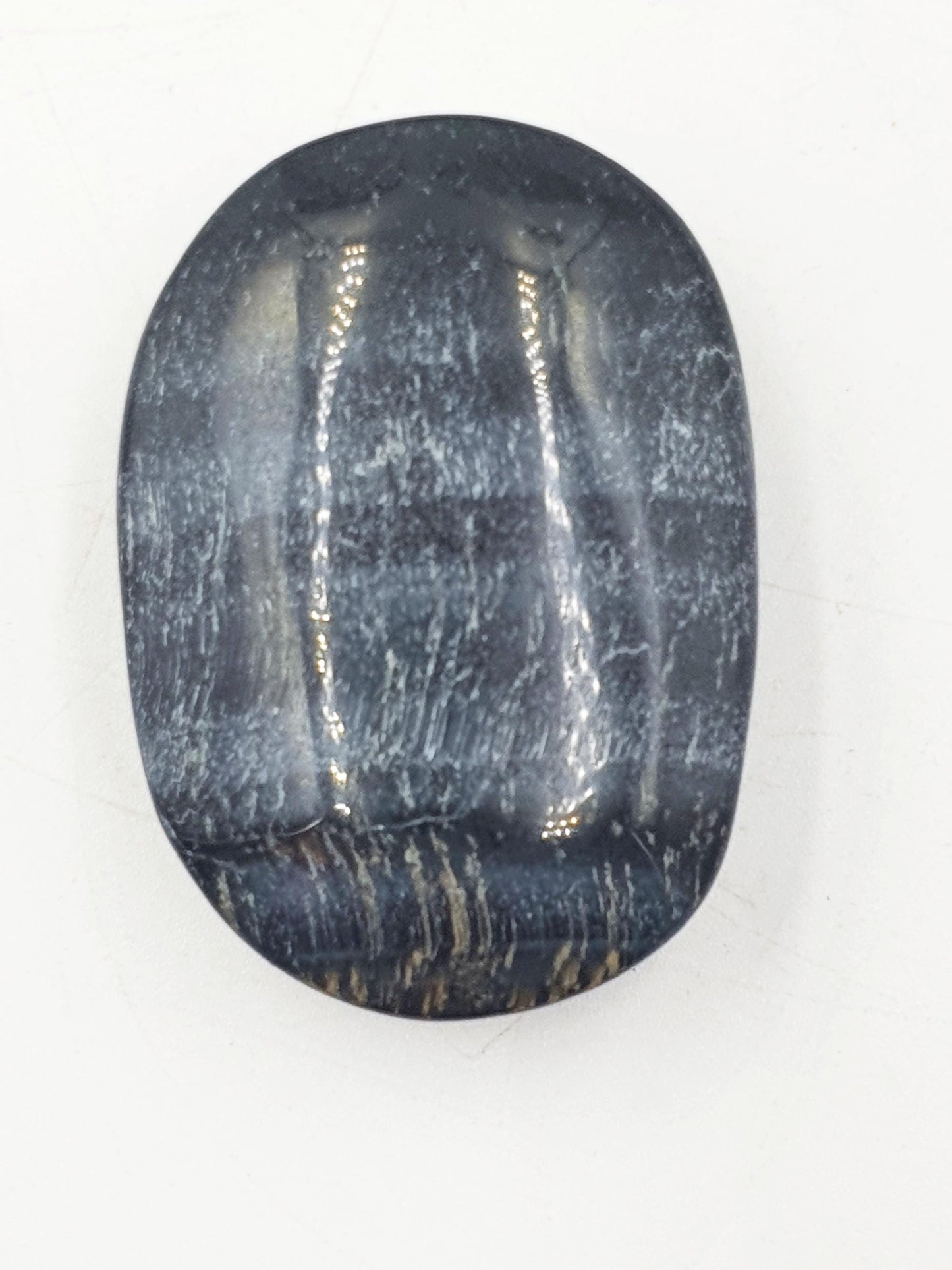 Flashy Blue Tiger's Eye Palm