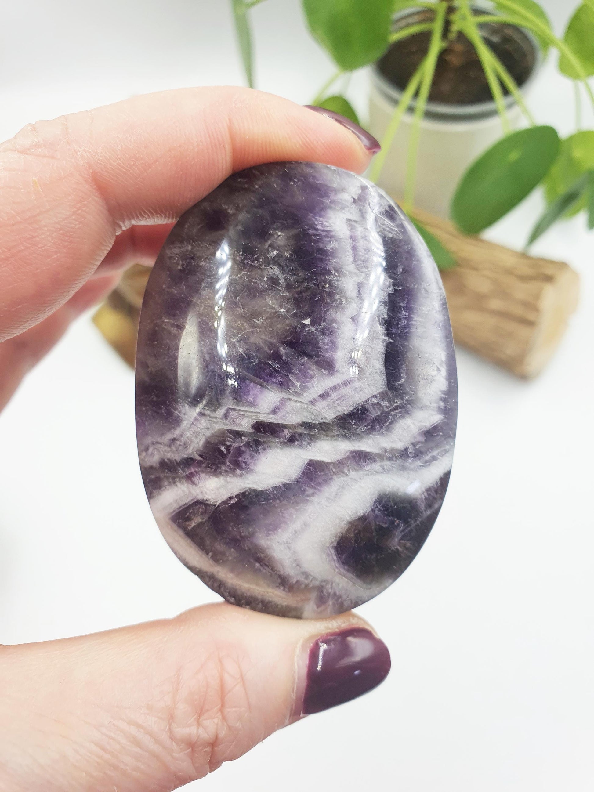 Large Dream Amethyst Palm