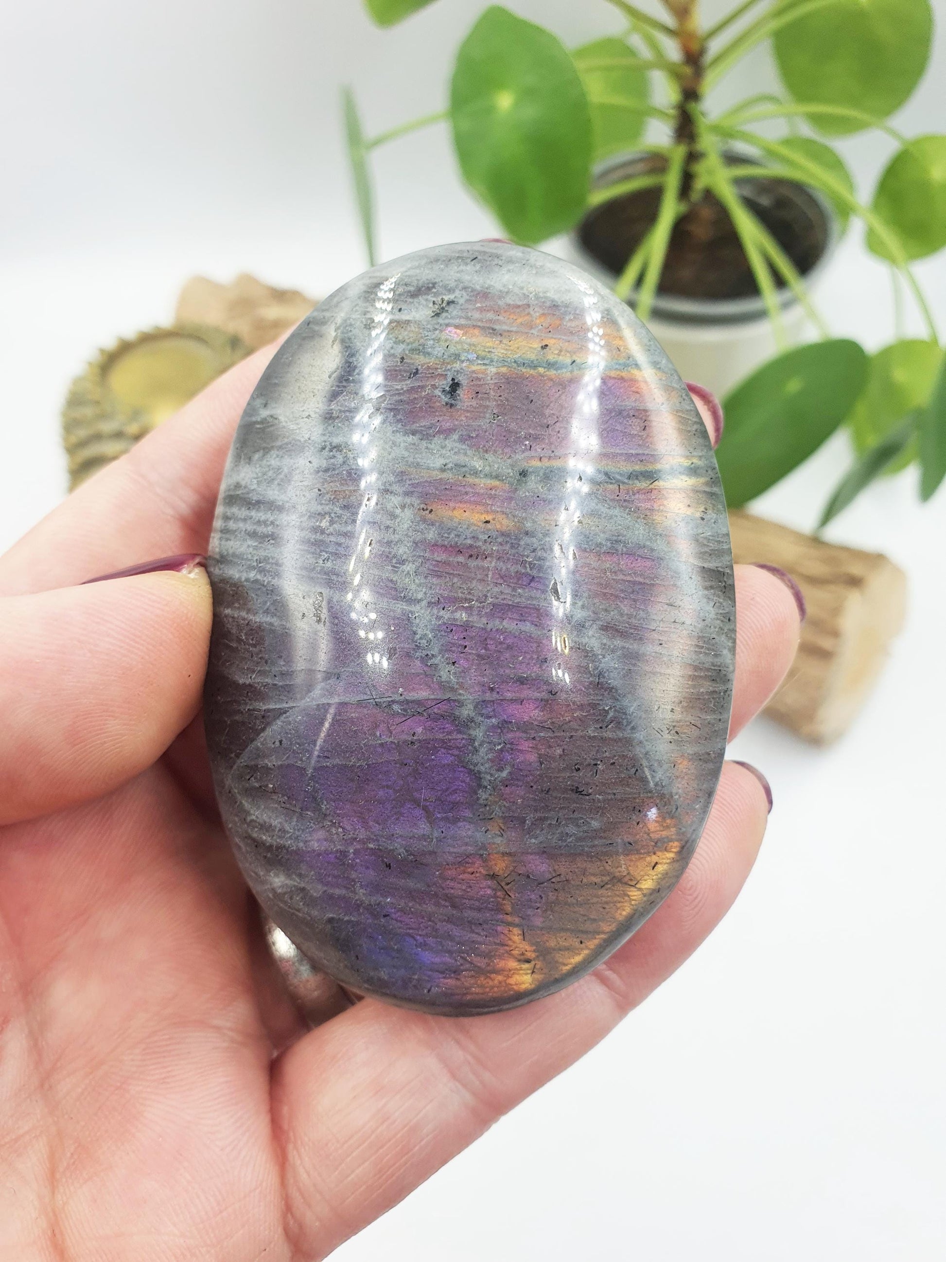 Pink and Purple Labradorite Palm