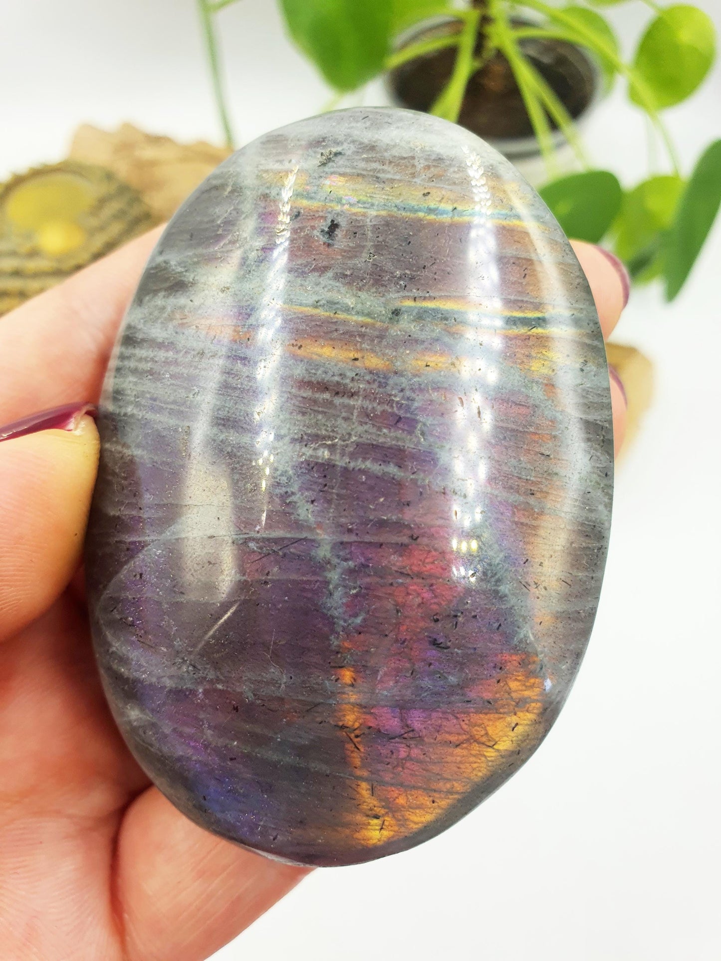 Pink and Purple Labradorite Palm