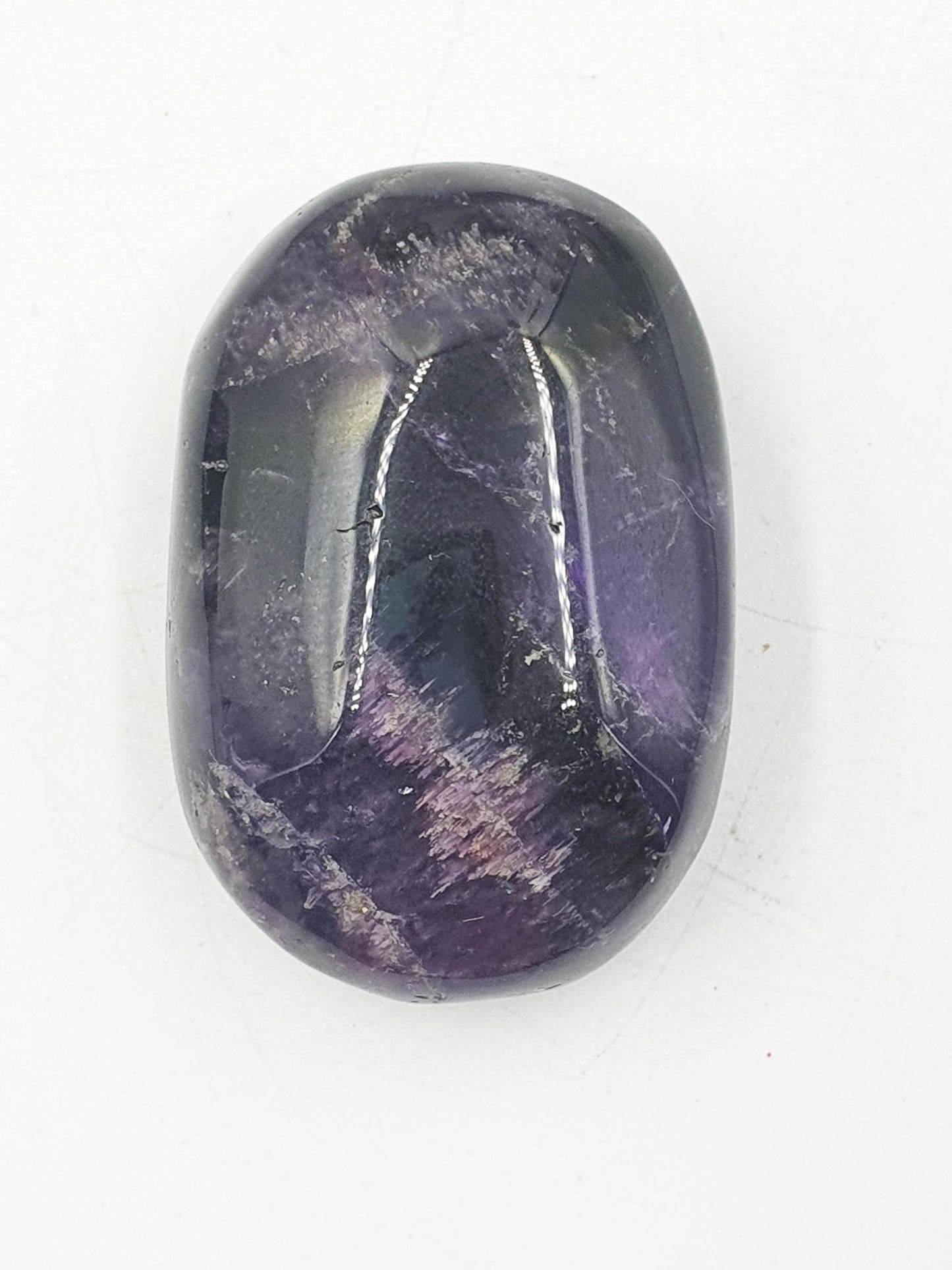 Amethyst Palm