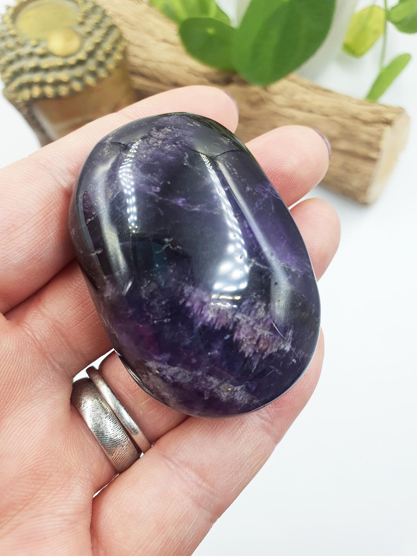 Amethyst Palm