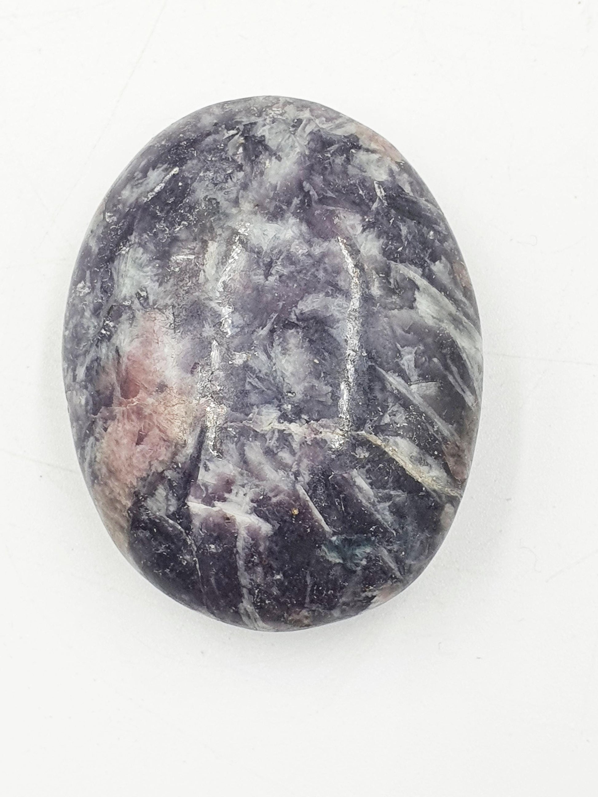 Large Unicorn Stone Palm