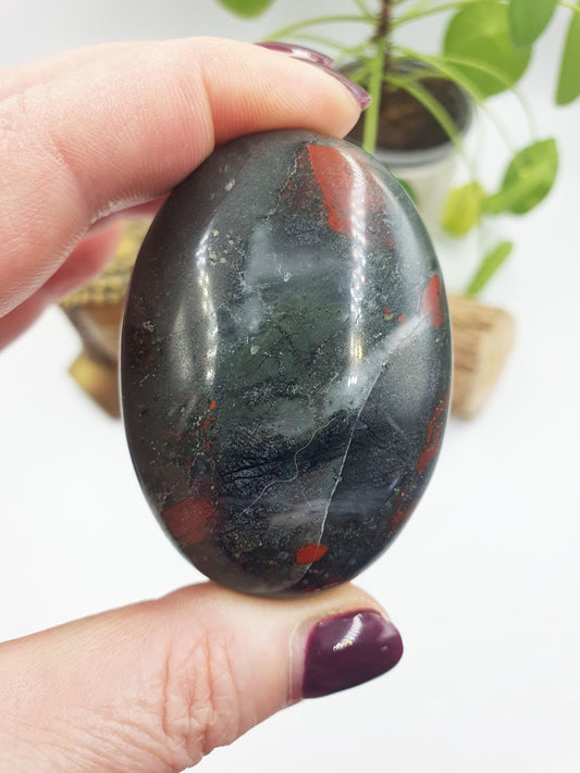 African Bloodstone Palm