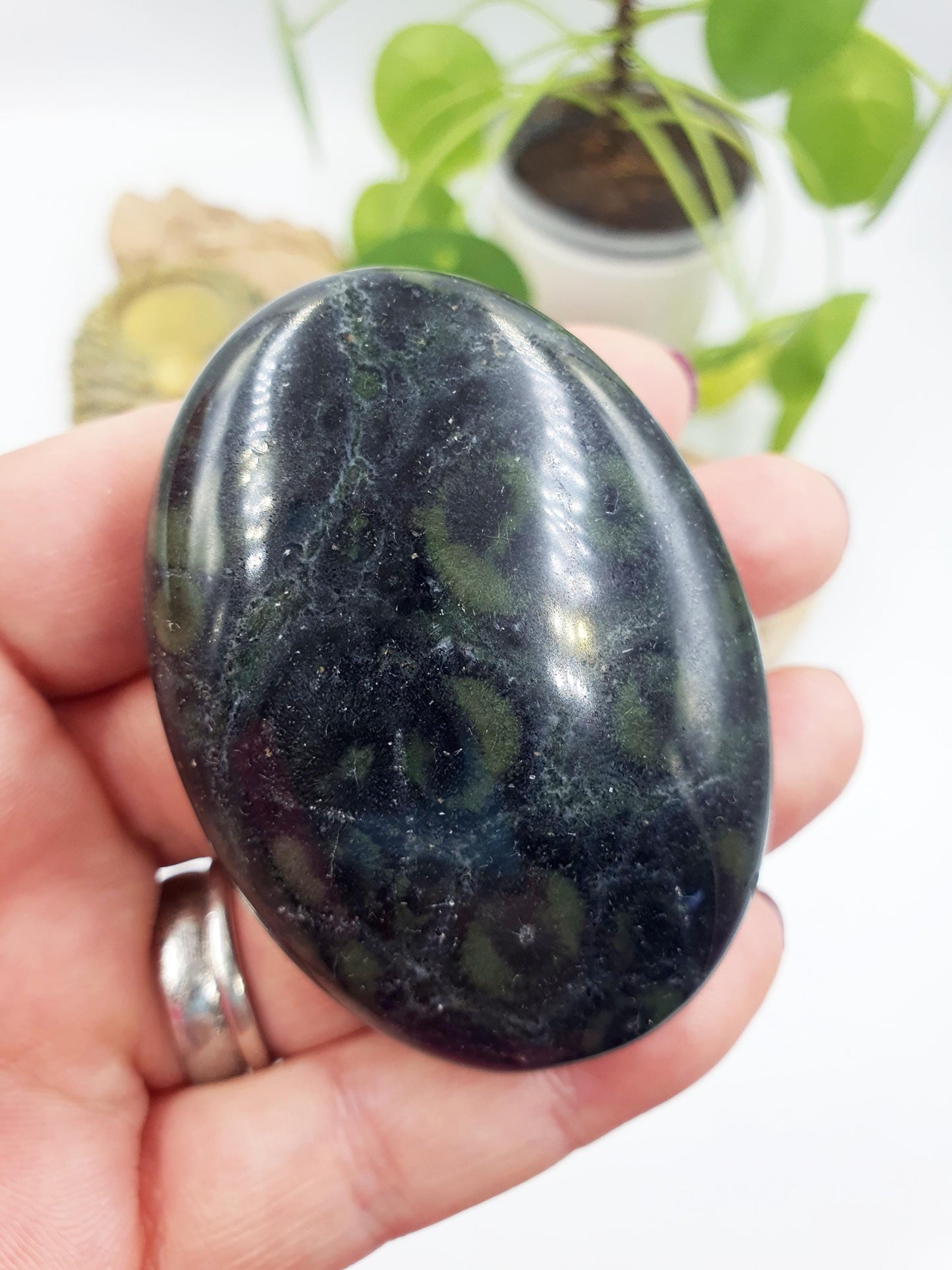 Kambaba Jasper Palm