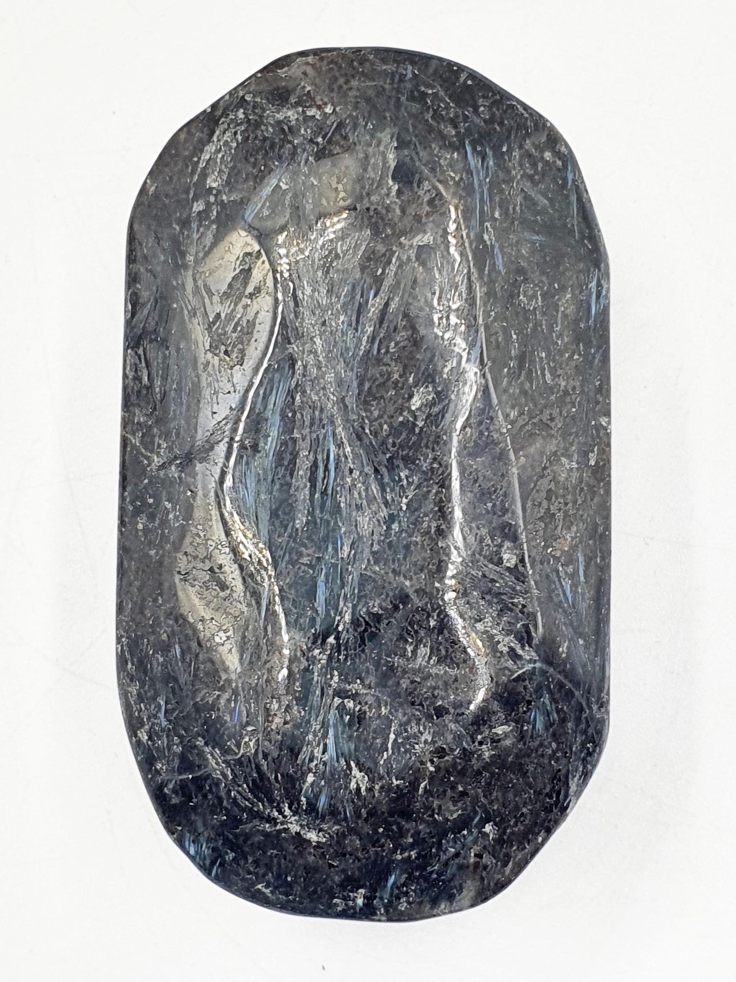 Large Astrophyllite Palm