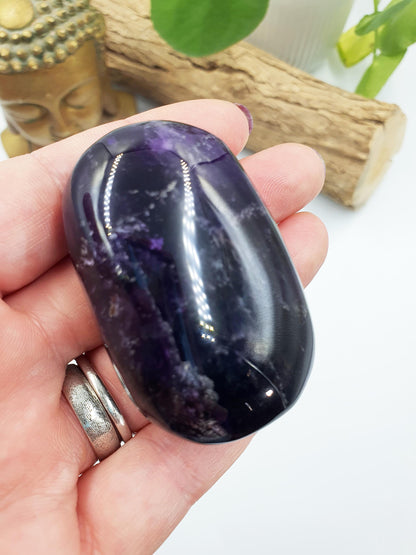 Amethyst Palm