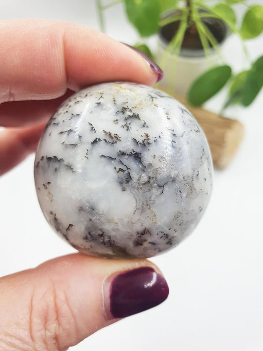 Dendritic Opal Palm