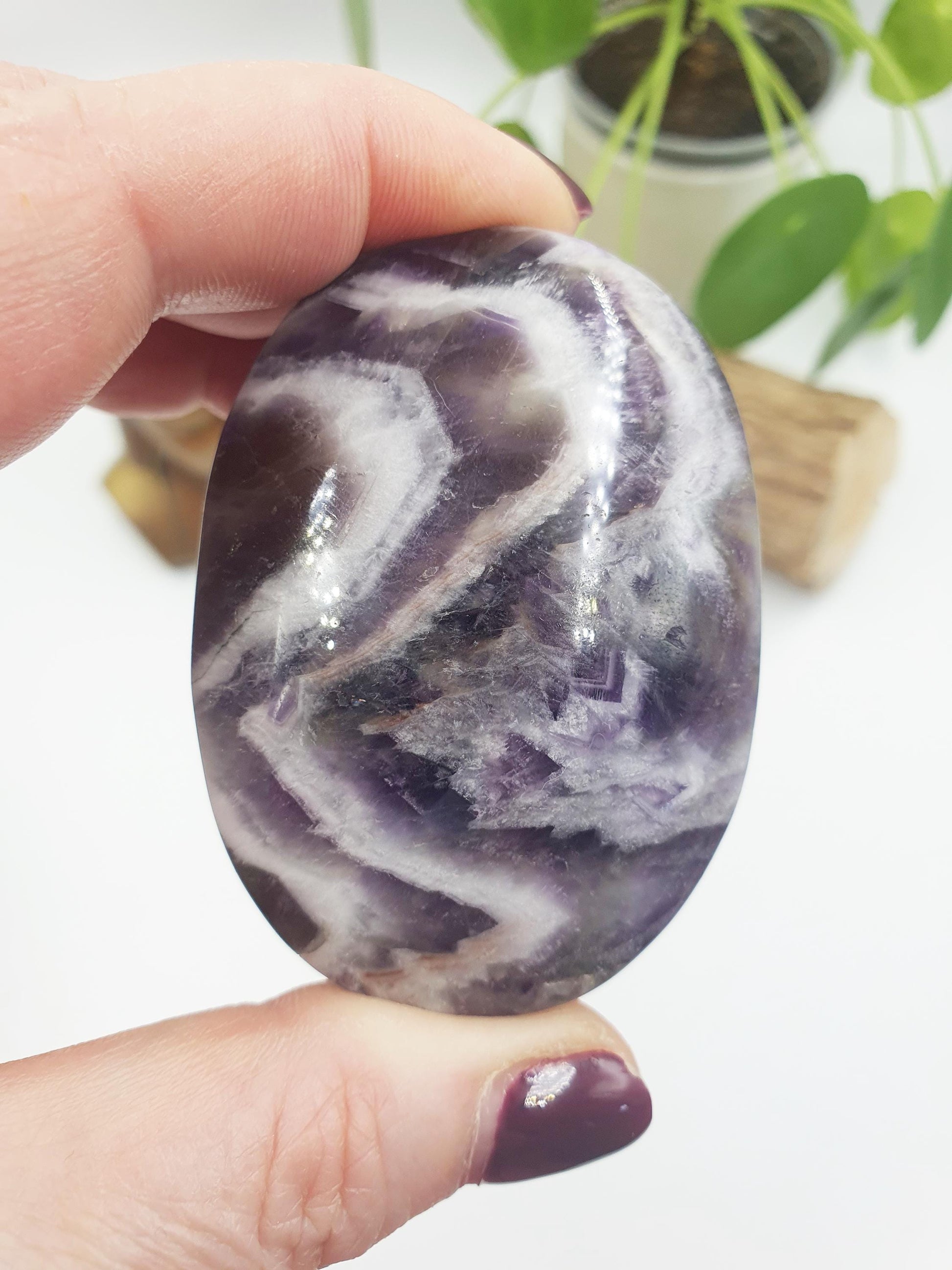 Large Dream Amethyst Palm