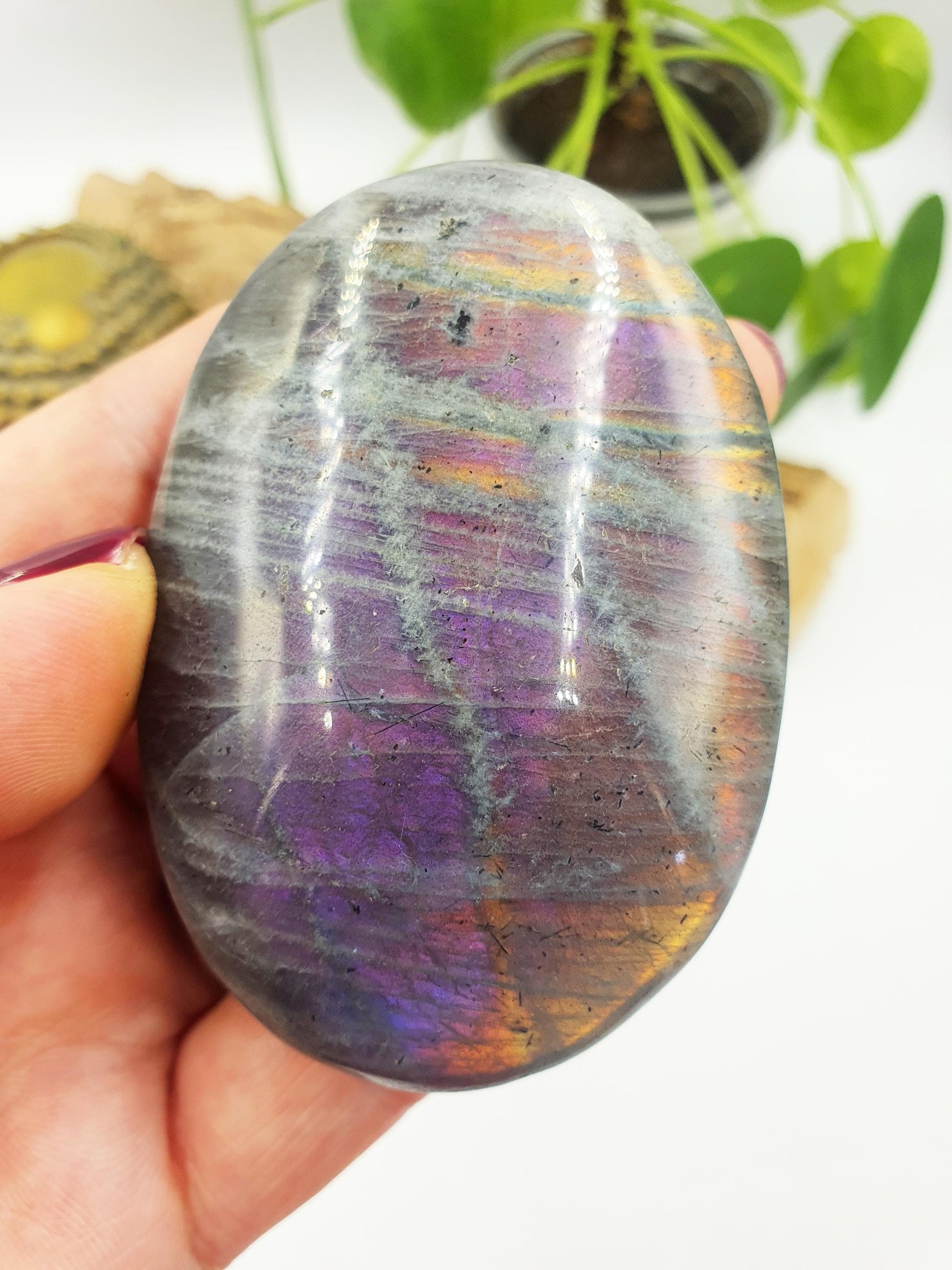 Pink and Purple Labradorite Palm