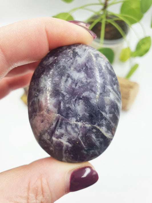 Large Unicorn Stone Palm