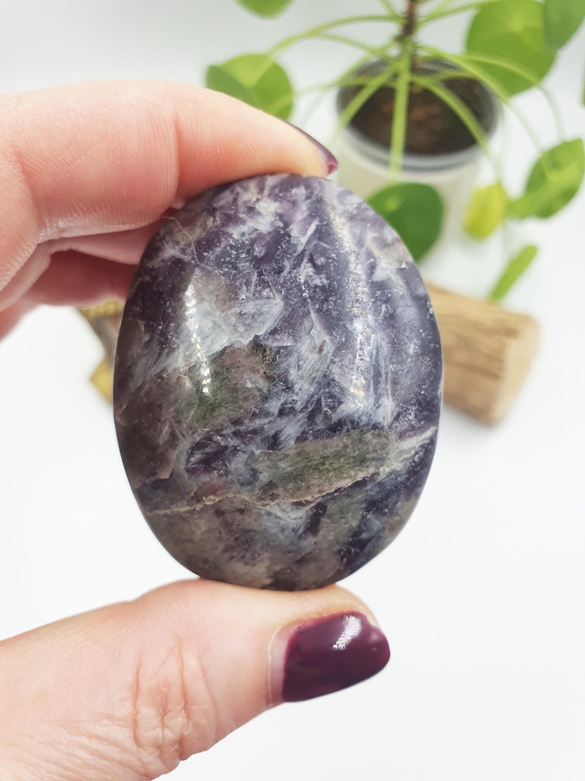 Large Unicorn Stone Palm