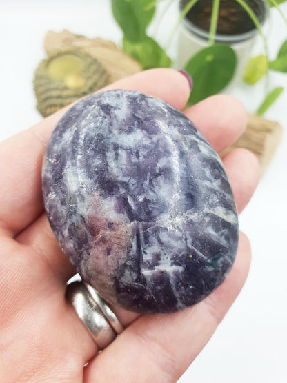 Large Unicorn Stone Palm