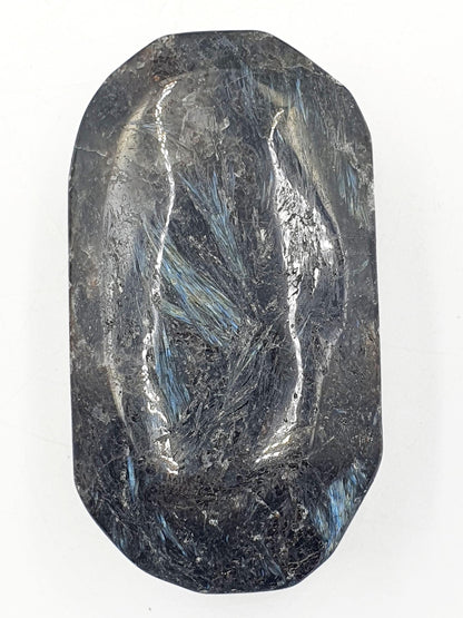 Large Astrophyllite Palm