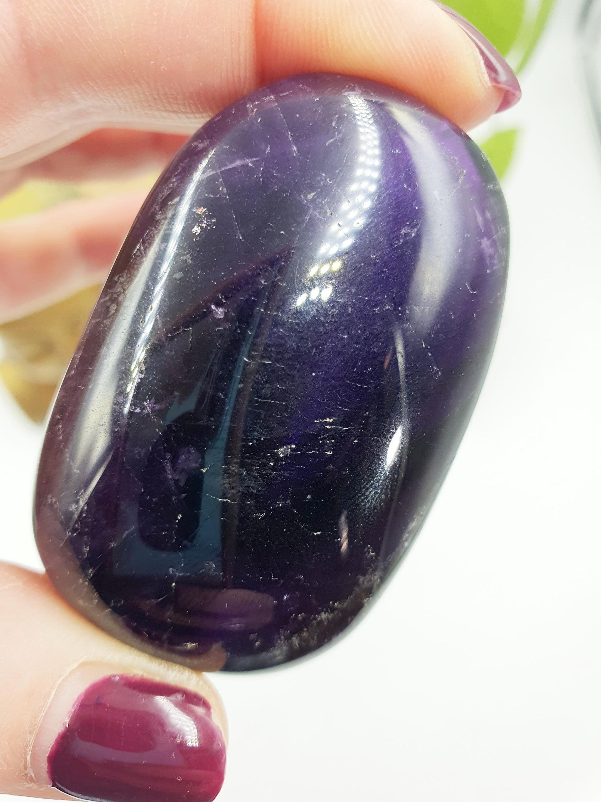 Amethyst Palm