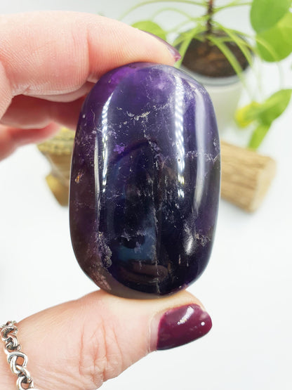 Amethyst Palm